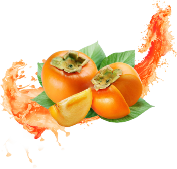 kesemek splash